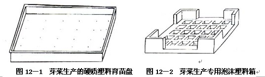 芽苗菜生产的基本设施--芽苗菜的无土种植技术二