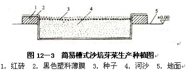 芽苗菜生产的基本设施--芽苗菜的无土种植技术二