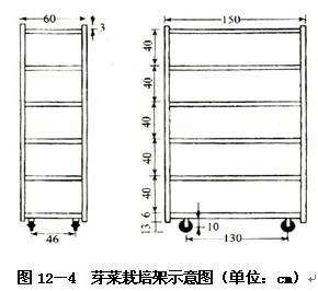 芽苗菜生产的基本设施--芽苗菜的无土种植技术二